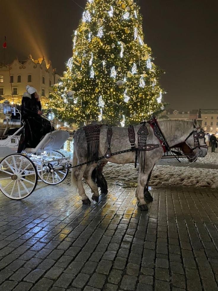 Pszczelna Apartment Krasków Εξωτερικό φωτογραφία